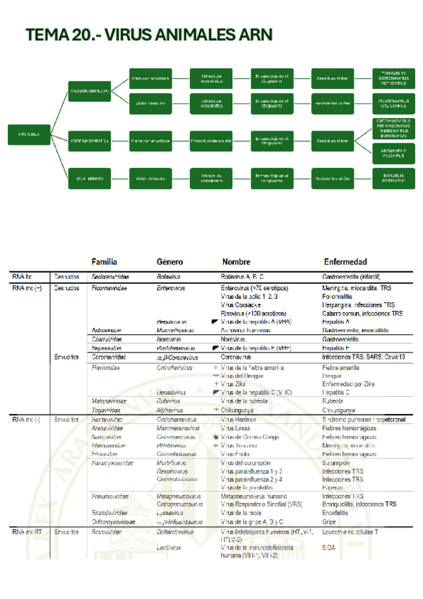 Miniatura del documento APUNTES-TEMA-20-VIROLOGIA-MUY-COMPLETOS.pdf