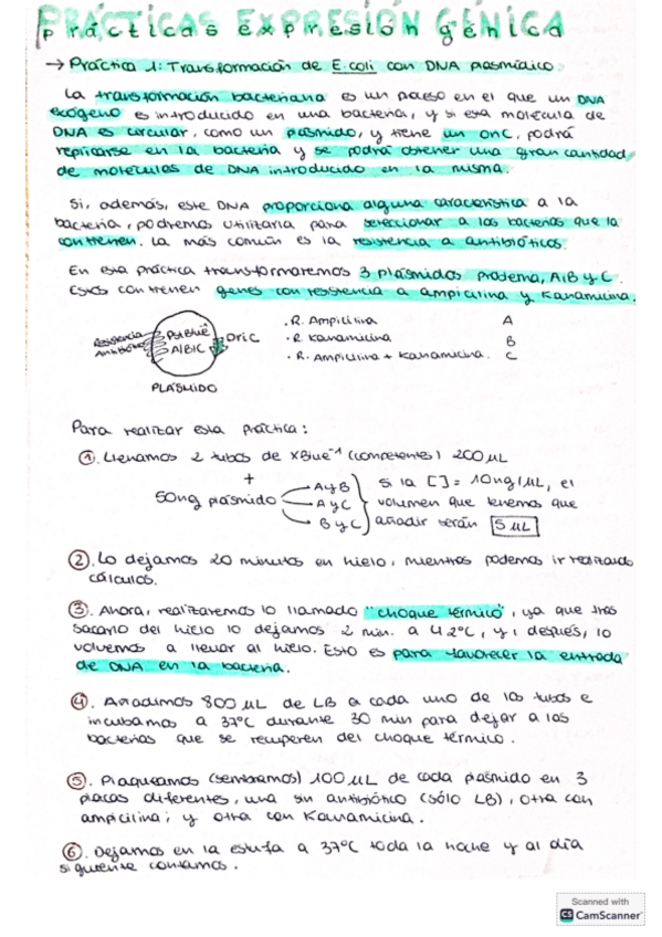 Miniatura del documento PRACTICAS-DE-EXPRESION.pdf