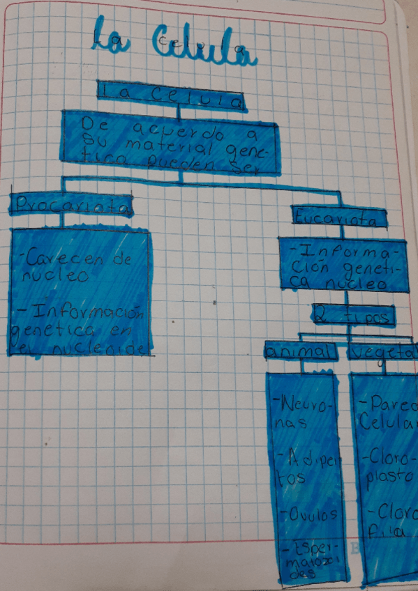 Miniatura del documento La-celula.pdf