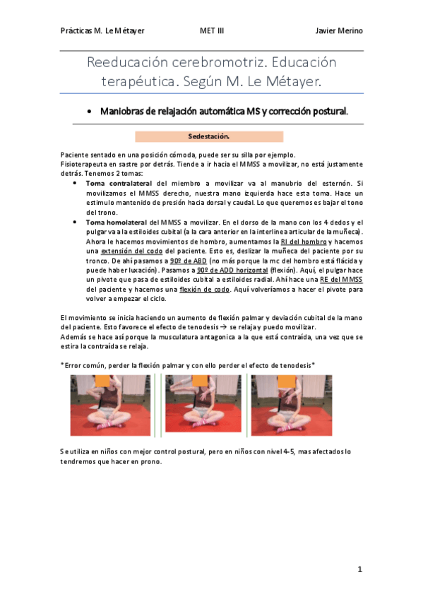 Miniatura del documento M.Le-Metayer-P.pdf