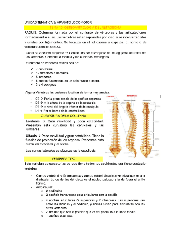 Miniatura del documento ANATOMIA-HUMANA-APARATO-LOCOMOTOR.pdf