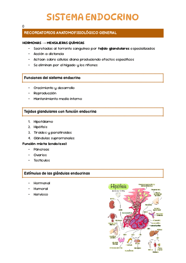 Miniatura del documento Sistema-Endocrino.pdf