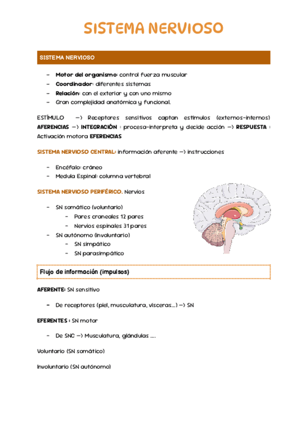Miniatura del documento Sistema-nervioso.pdf