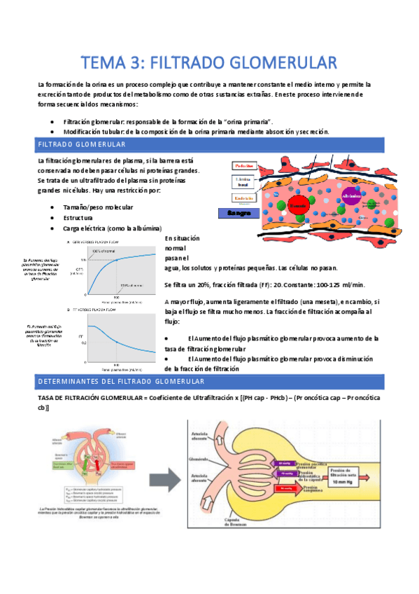 Miniatura del documento Tema-3.pdf