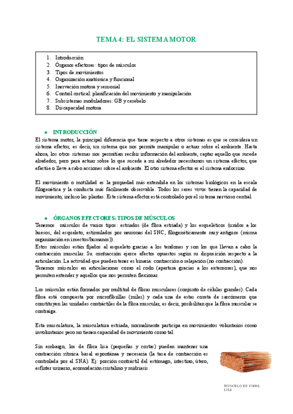 Miniatura del documento tema-4-neuro.pdf