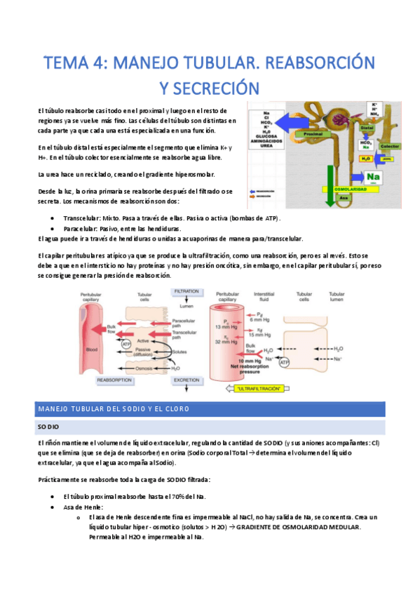 Miniatura del documento Tema-4.pdf