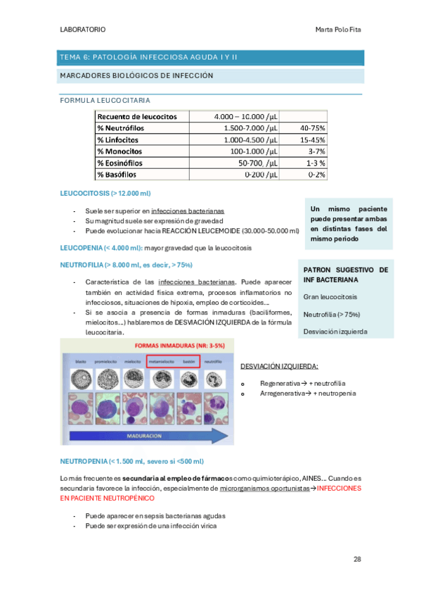 Miniatura del documento ANEXO-3-LABORATORIO.pdf