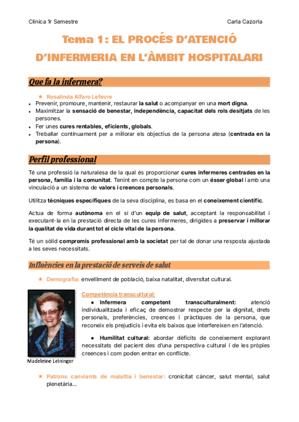 Miniatura del documento Tema-1-EL-PROCES-DATENCIO-DINFERMERIA-EN-LAMBIT-HOSPITALARI.pdf