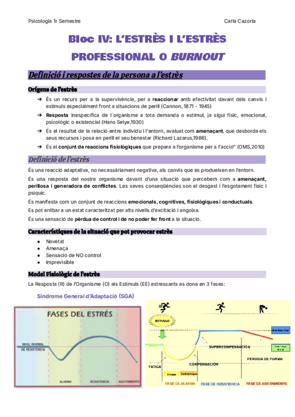 Miniatura del documento Bloc-IV-LESTRES-I-LESTRES-PROFESSIONAL-O-BURNOUT.pdf