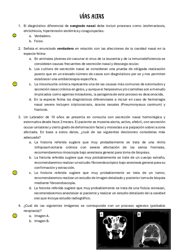 Miniatura del documento Evaluaciones.pdf