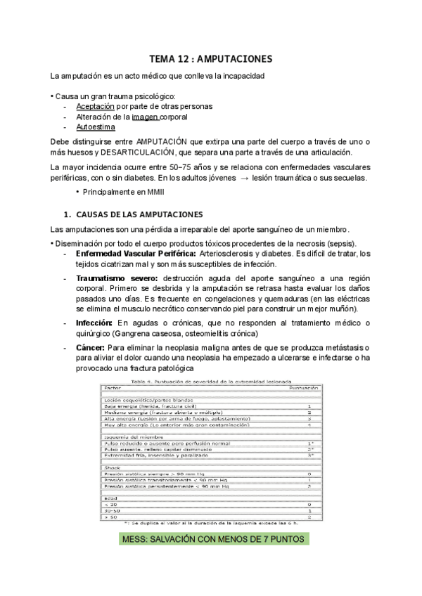 Miniatura del documento t12-AMQ1.pdf