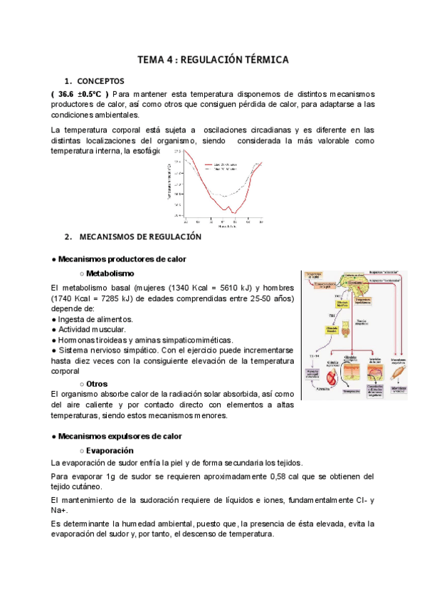 Miniatura del documento T4-AMQ.pdf