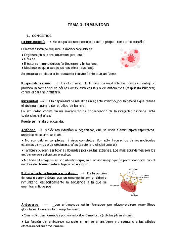 Miniatura del documento t3-AMQ.pdf