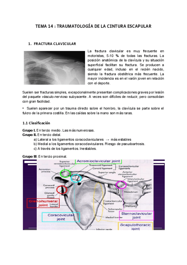 Miniatura del documento t14-AMQ1.pdf