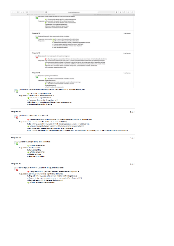 Miniatura del documento autoevaluacion-renal-2020.pdf