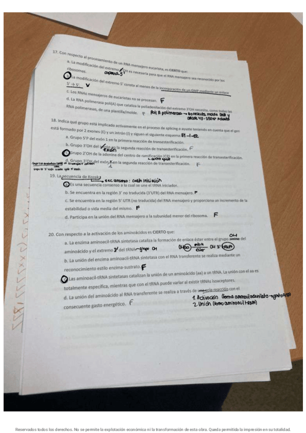 Miniatura del documento Ordinario-Biomol2023.pdf