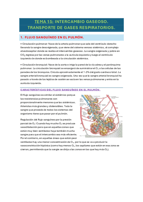 Miniatura del documento tema-15-fisio.pdf