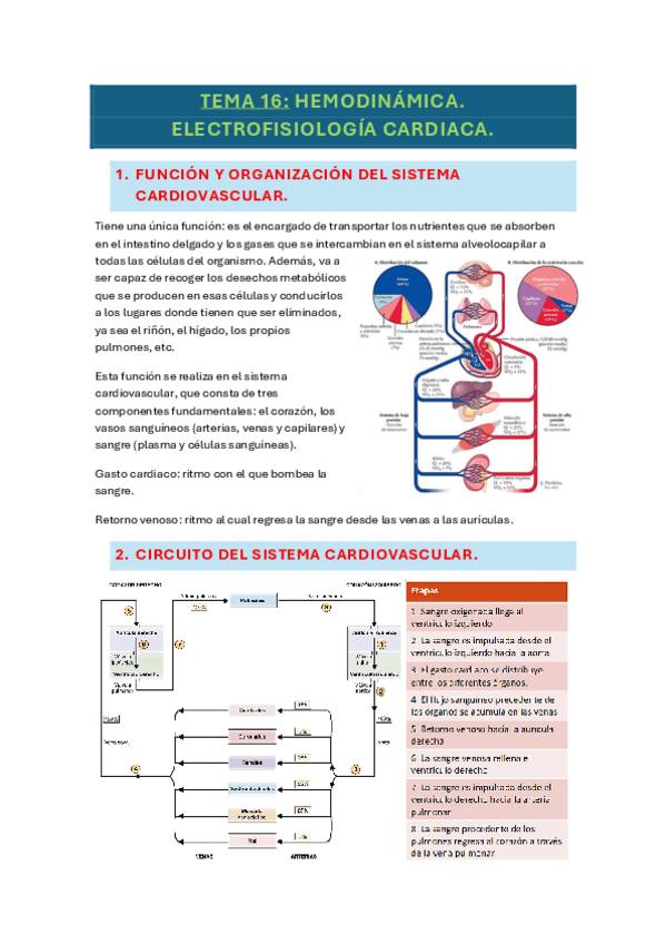 Miniatura del documento tema-16-fisio.pdf