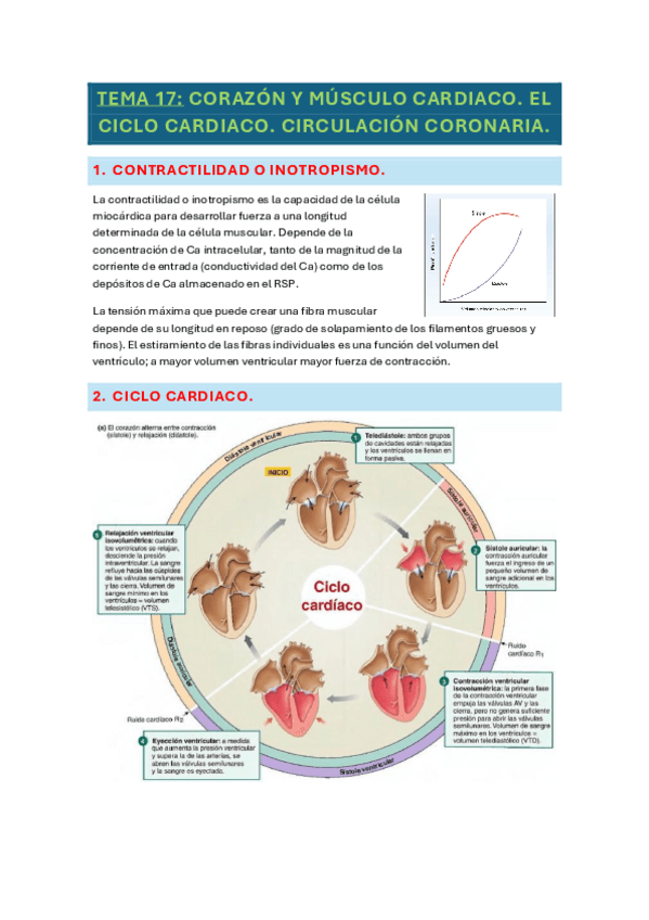 Miniatura del documento tema-17-fisio.pdf
