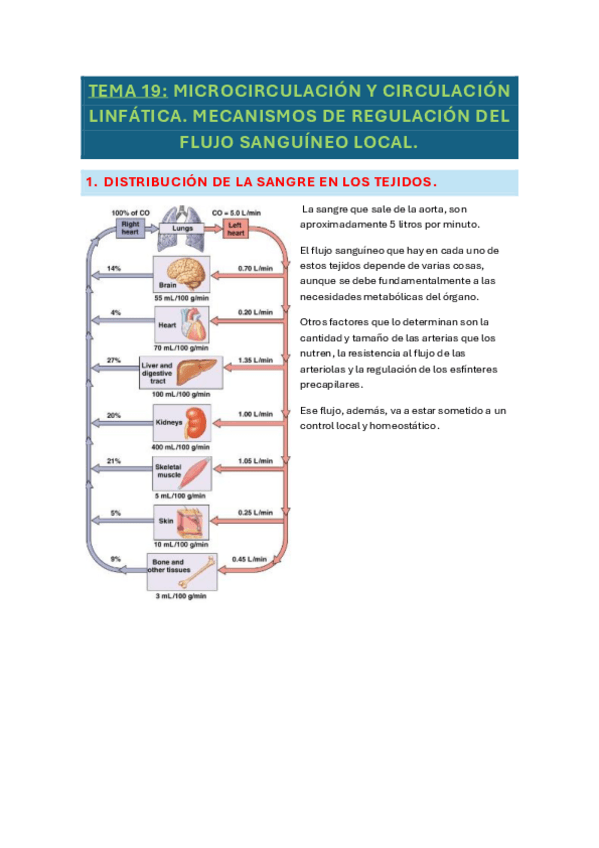 Miniatura del documento tema-19-fisio.pdf