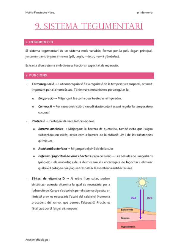 Miniatura del documento 9.-SISTEMA-TEGUMENTARI.pdf