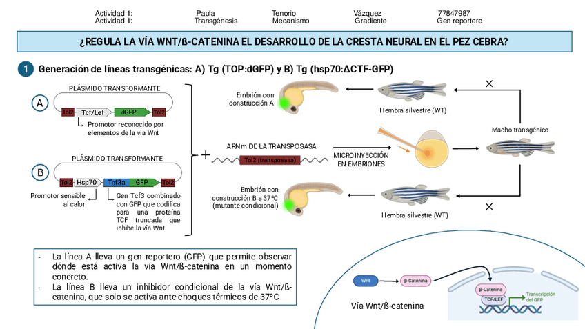 Miniatura del documento Actividad-2-BCD.pdf