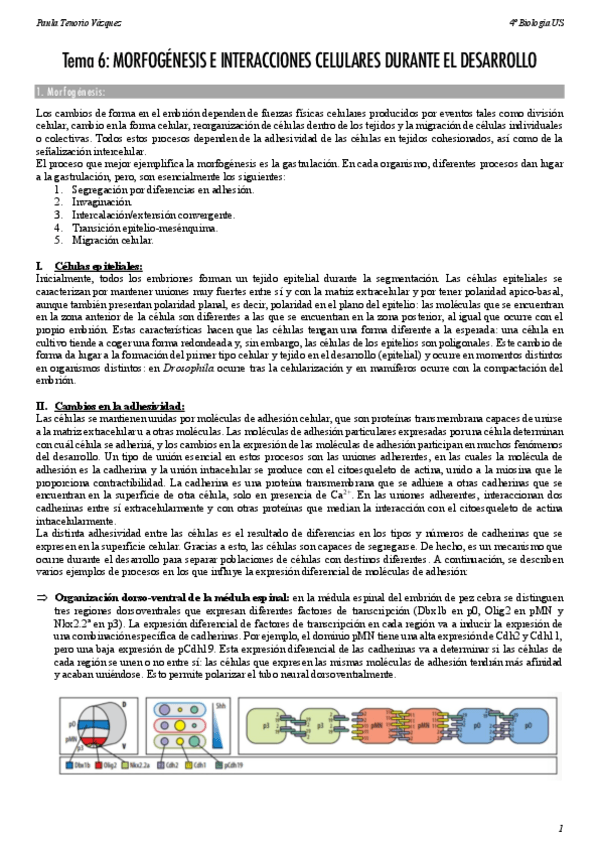 Miniatura del documento Tema-6-BCD.pdf