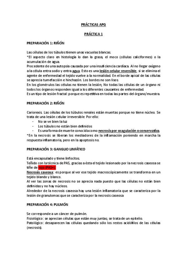 Miniatura del documento PRACTICAS-MICROSCOPIO-TODO-APG.pdf