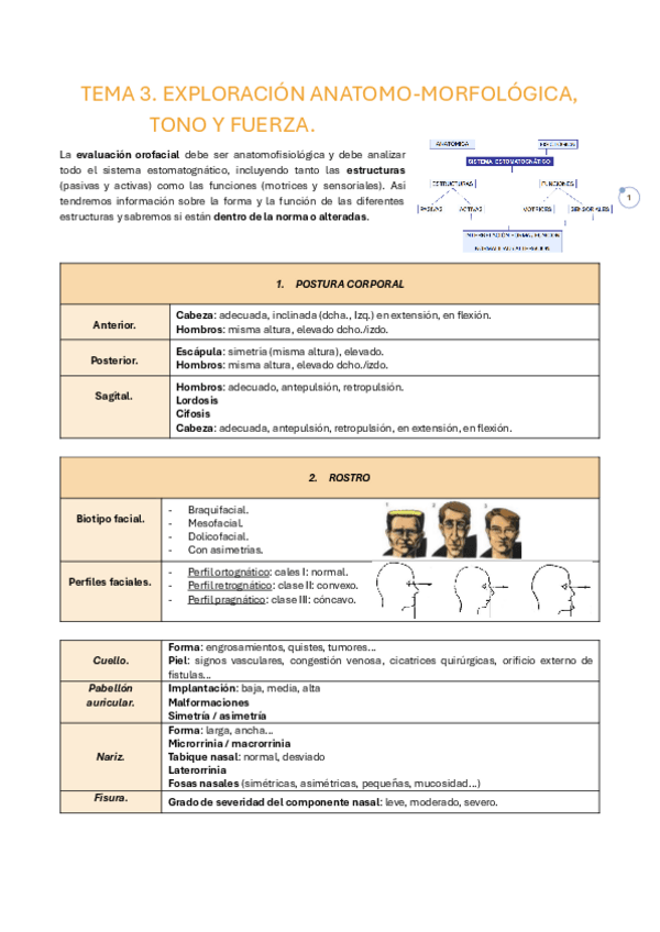 Miniatura del documento tema-3.-ITEFO.pdf