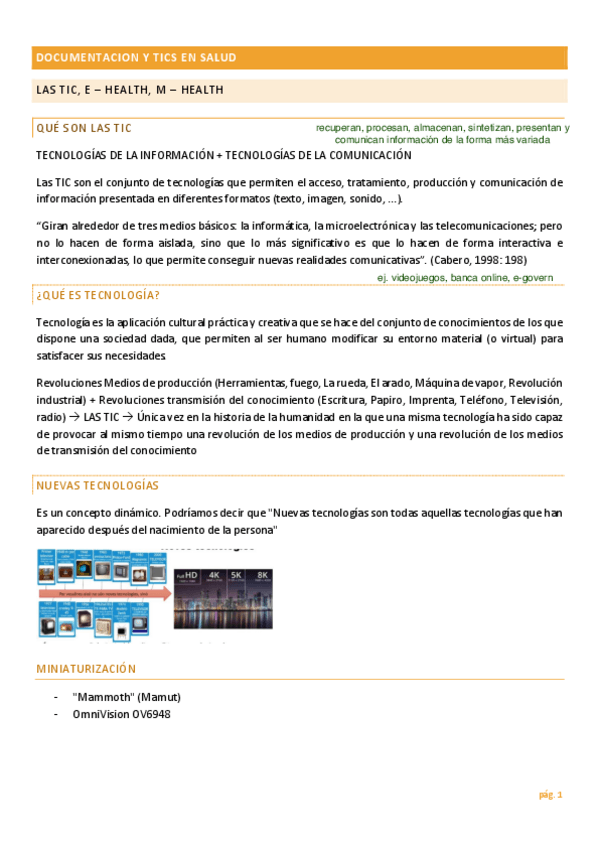 Miniatura del documento apuntsTIC.pdf