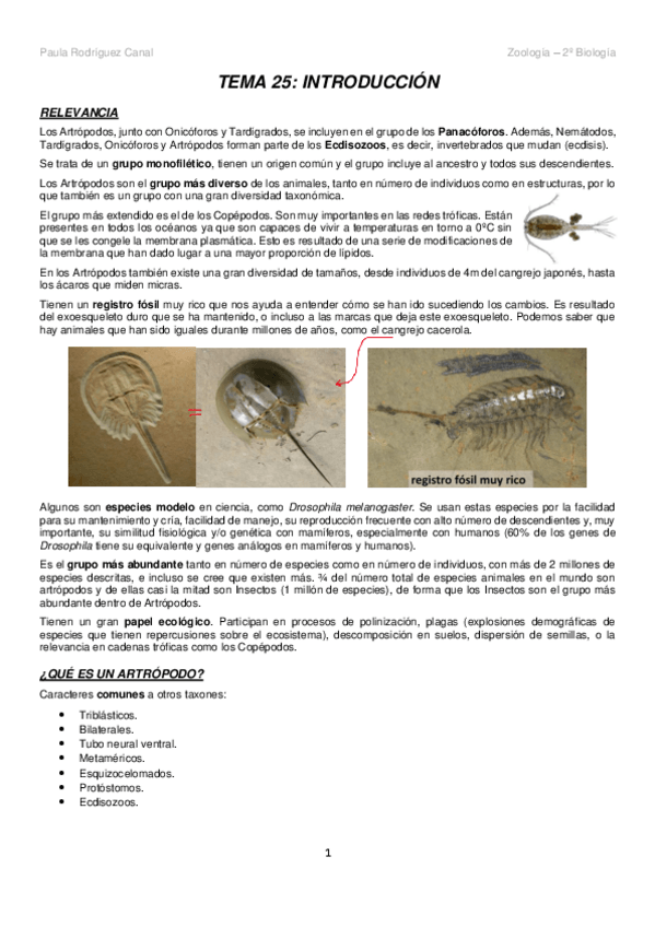 Miniatura del documento ZOOLOGIA-2o-semestre-1.pdf