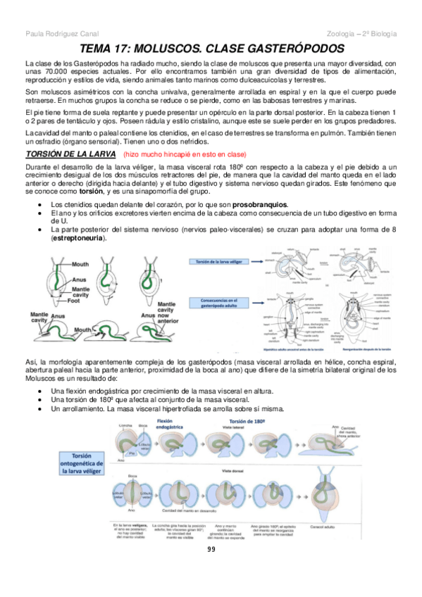 Miniatura del documento ZOOLOGIA-1er-semestre-4.pdf