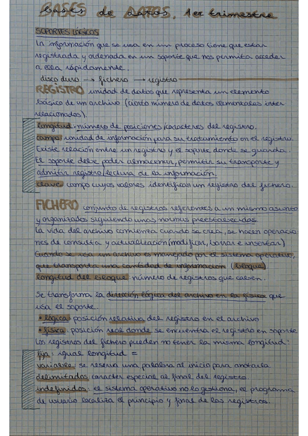 Miniatura del documento Teoriabd1ertrimestre.pdf
