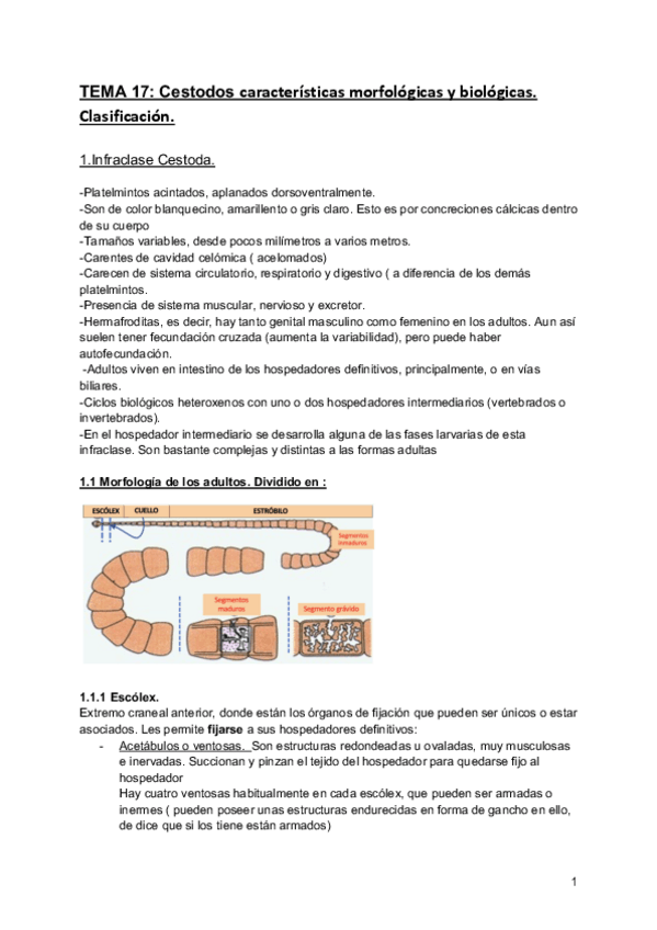 Miniatura del documento Apuntes-segundo-parcial-parasitologia-12.pdf