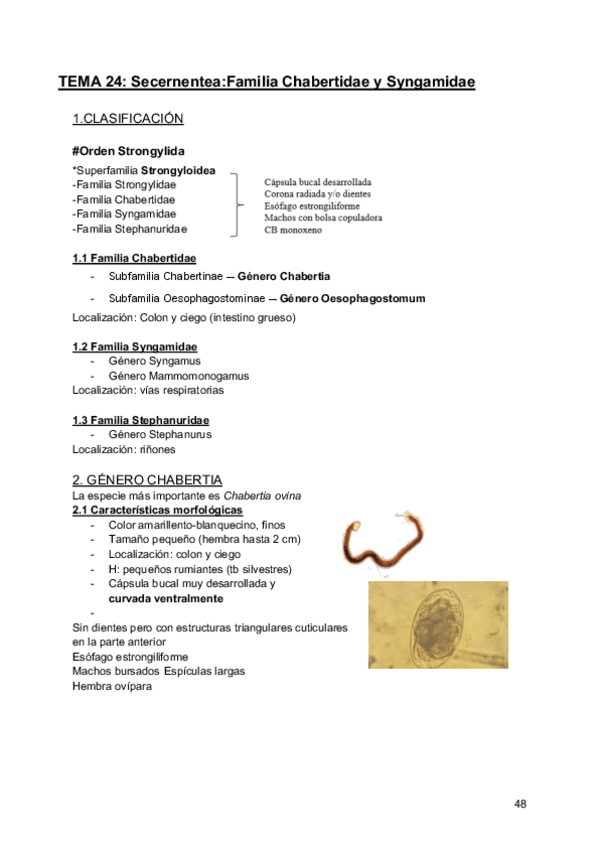 Miniatura del documento Apuntes-segundo-parcial-parasitologia-22.pdf