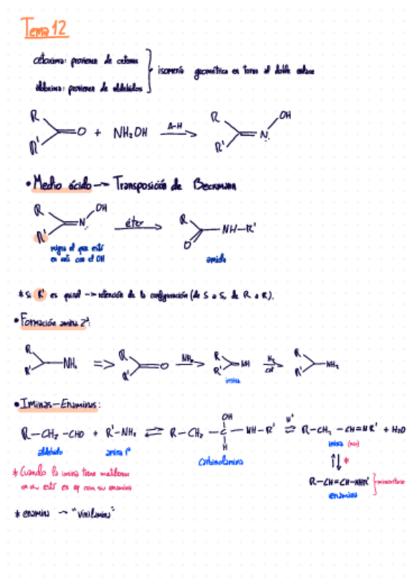 Miniatura del documento QO Apuntes T11-14.pdf