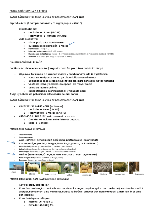 Miniatura del documento PRODUCCIÓN OVINA Y CAPRINA.pdf