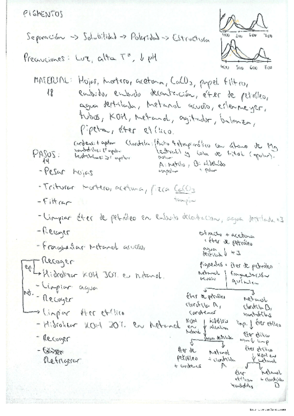 Miniatura del documento CONCEPTOS IMPORTANTES PIGMENTOS BV.pdf
