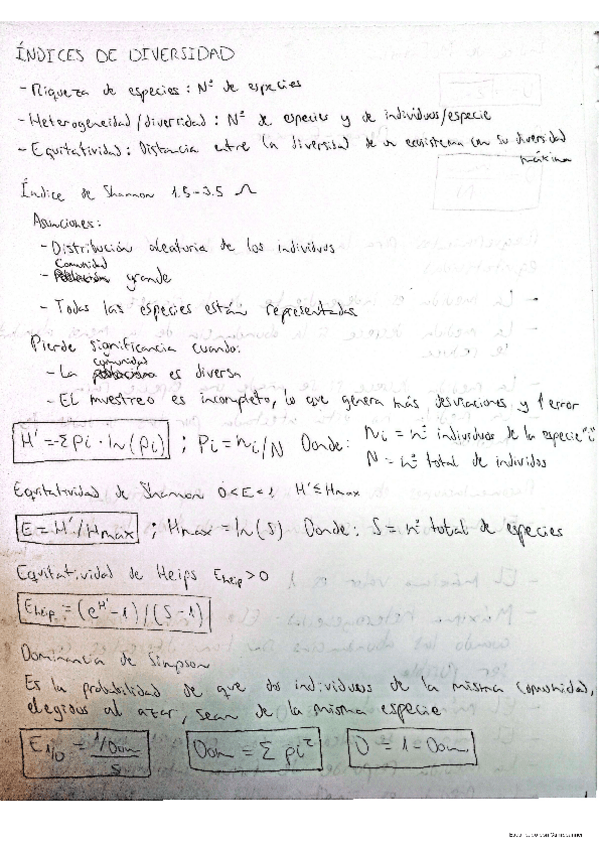 Miniatura del documento INDICES Y CHI CUADRADO BV.pdf