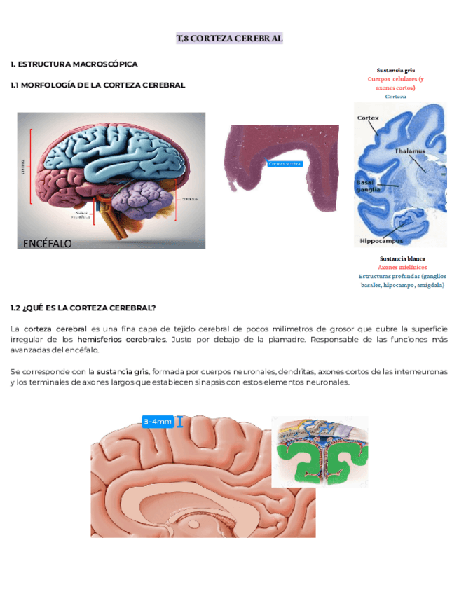 Miniatura del documento NEURO-T-8910.pdf