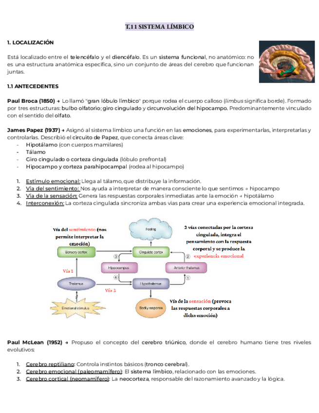 Miniatura del documento NEURO-T-111213-3.pdf