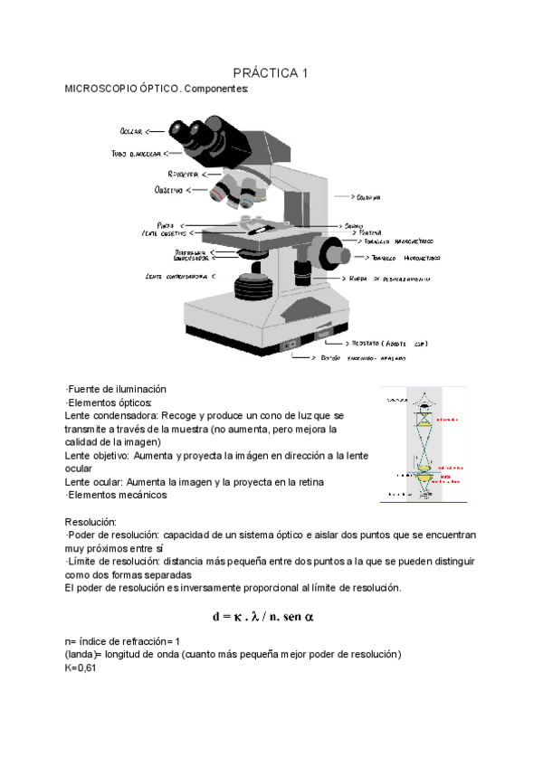 Miniatura del documento Practicas-microscopio-teoria.pdf