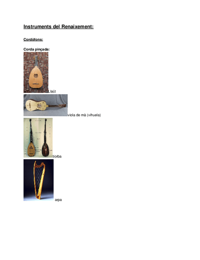 Miniatura del documento Instruments-del-Renaixement.docx