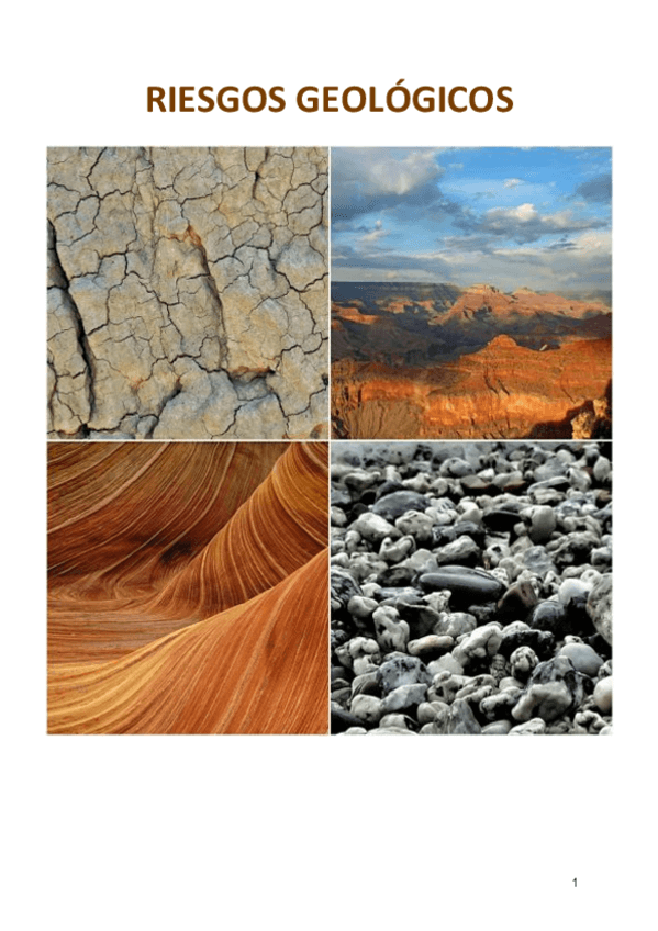 Miniatura del documento RIESGOS-GEOLOGICOS.pdf