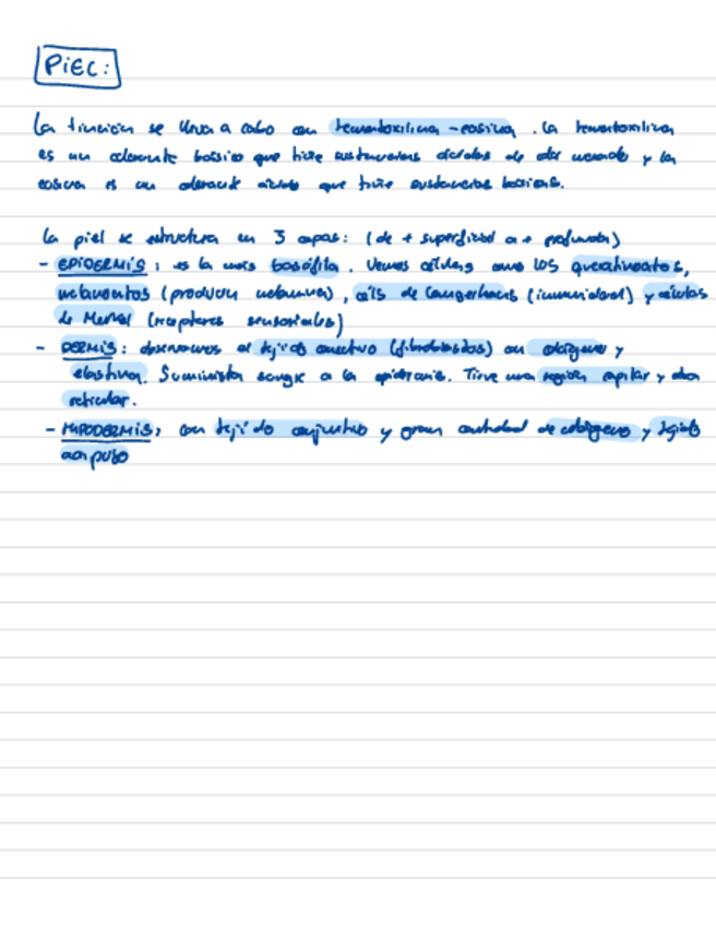 Miniatura del documento Practicas-microscopio.pdf
