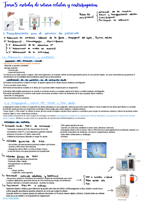 Miniatura del documento Resumen-tema-5-Bioquimica.pdf