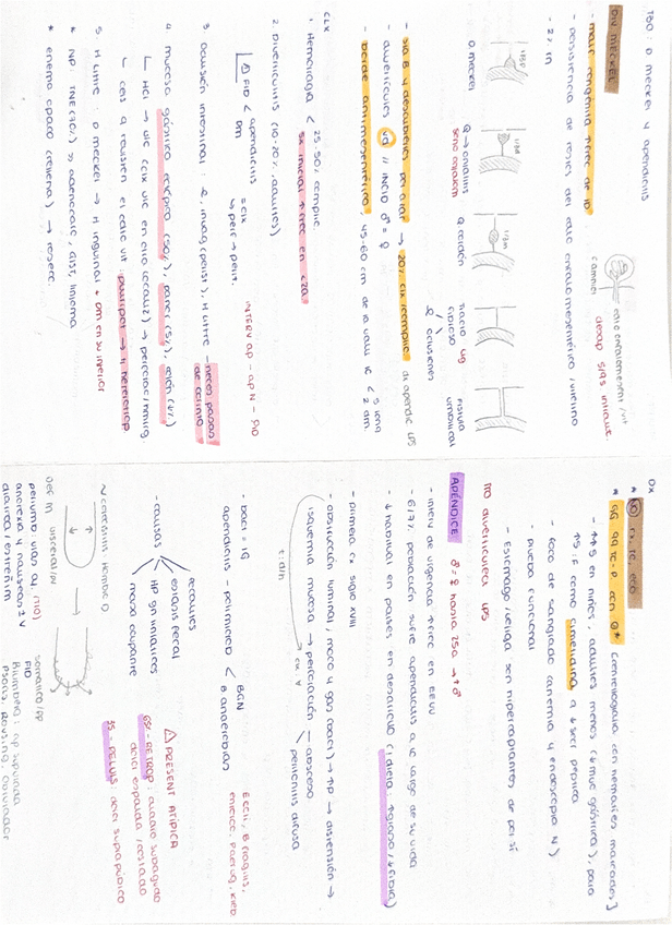 Miniatura del documento diverticulo-de-meckel-y-apendicitis.pdf