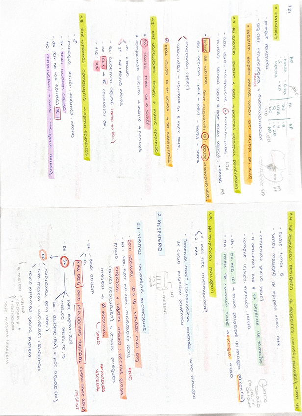 Miniatura del documento epiplon-mesenterio-y-retroperitoneo.pdf