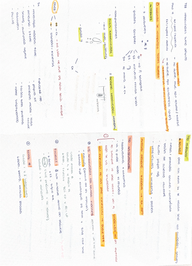 Miniatura del documento hemorroides-y-suelo-pelvico.pdf