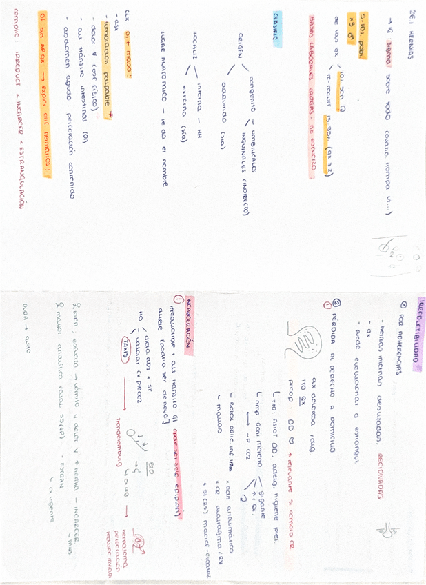 Miniatura del documento hernias-I.pdf
